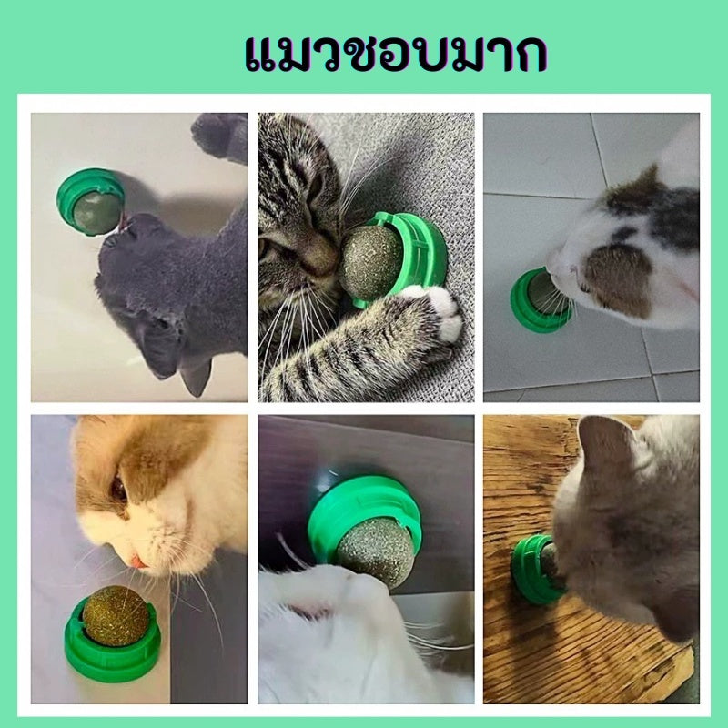 Mango กัญชาแมว😸หญ้าแมว กันชาแมว กัญชาเเมว แคทนิปแมว catnip ball กันชาแมวส่งฟรี กัชชาแมว กันชาแมวเลีย แคทนิปบอล ติดกำแพง