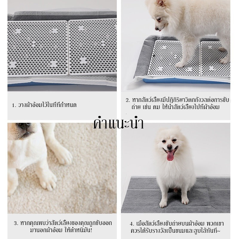 Mango แผ่นรองฉี่สุนัข🐶ชาร์โคล(หนาขึ้น) รุ่นชาโคล แผ่นรองฉี่แมว ช่วยฝึกขับถ่าย การดูดซับน้ำ6ชั้น ระงับกลิ่นได้ดี