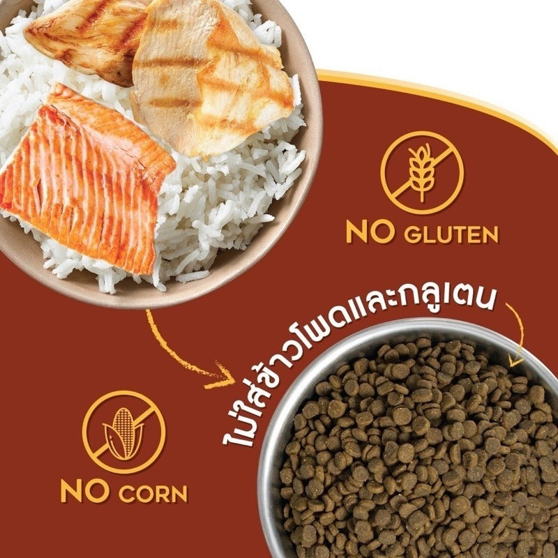 Mango อาหารแมว 1.2 กก.อาหารเม็ด อาหารแมวเกรดพรีเมี่ยม ย่อยง่าย ลดปัญหาท้องเสีย เหมาะสำหรับแมวทุกวัย✨อาหารเม็ดสำหรับเเมว