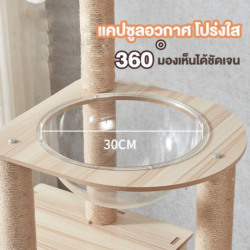 Mango คอนโดแมว ไม้แมวคอนโดแมว บ้านแมว รวมถึงแคปซูลอวกาศโปร่งใสเหมาะสำหรับเลี้ยงน้องแมว 3-5ตัว เสาลับเล็บ ขนาดใหญ่ สูง170CM