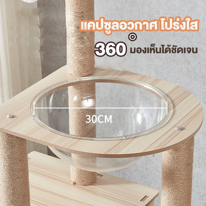 Mango คอนโดแมว ไม้แมวคอนโดแมว บ้านแมว รวมถึงแคปซูลอวกาศโปร่งใสเหมาะสำหรับเลี้ยงน้องแมว 3-5ตัว เสาลับเล็บ ขนาดใหญ่ สูง170CM