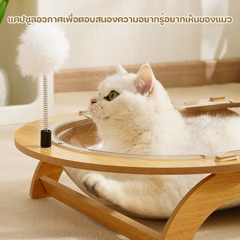 Mango ที่นอนแมว หลุมอวกาศแมว หลุมอวกาศ โปร่งใส อะคริลิก 61x41ซม นุ่มสบาย เฟอร์นิเจอร์แมว บ้านแมว