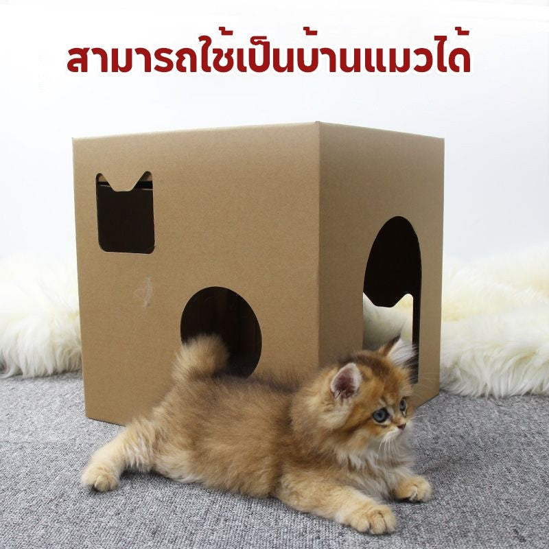Mango ที่ลับเล็บแมว บ้านแมว ของเล่นแมว ที่ฝนเล็บแมว คอนโดแมว บ้านกล่องลับเล็บแมว กล่องลับเล็บ ลับเล็บได้ 2 ชั้น