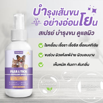 Mango สเปรย์กำจัดเห็บหมัด สเปรย์นาโน สเปรย์บรรเทาโรคผิวหนัง ไล่ ป้องกันเห็บหมัด ขี้เรื้อนสุนัข แมว เชื้อรา ยีสต์ คันเกา 50 ml.