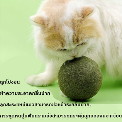 Mango กัญชาแมว catnip ball แคทนิปบอล 8CM ของใช้น้องแมว ขนมแมว ผ่อนคลาย อารมณ์ดี ซุปเปอร์ใหญ่