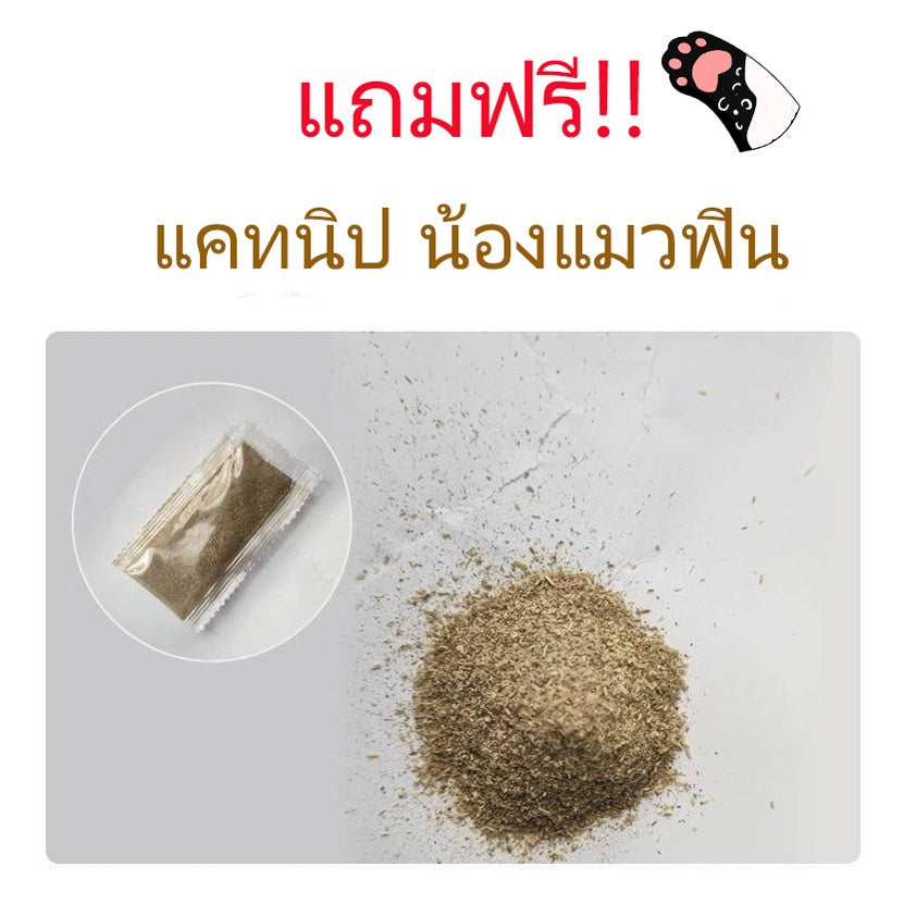Mango โซฟาที่ลับเล็บแมว แพ็ค 3 ชิ้น ราคาขายส่ง แถมฟรี! กัญชาแมว มีชำระเงินปลายทาง COD ของใช้น้องแมว โซฟาลับเล็บแมว ที่ลับเล็บแมว