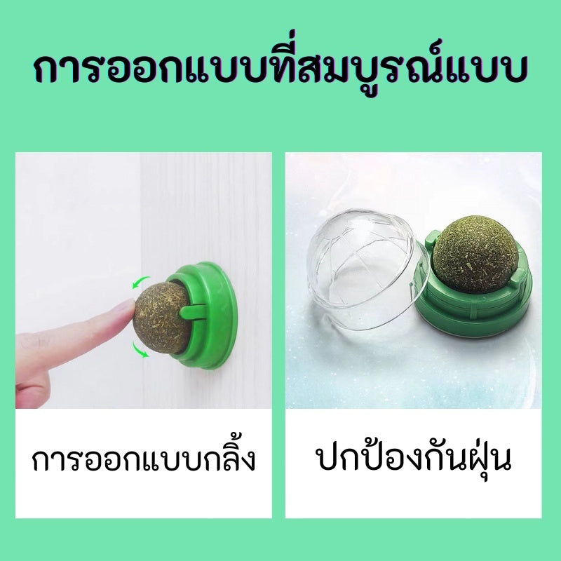 Mango กัญชาแมว😸หญ้าแมว กันชาแมว กัญชาเเมว แคทนิปแมว catnip ball กันชาแมวส่งฟรี กัชชาแมว กันชาแมวเลีย แคทนิปบอล ติดกำแพง