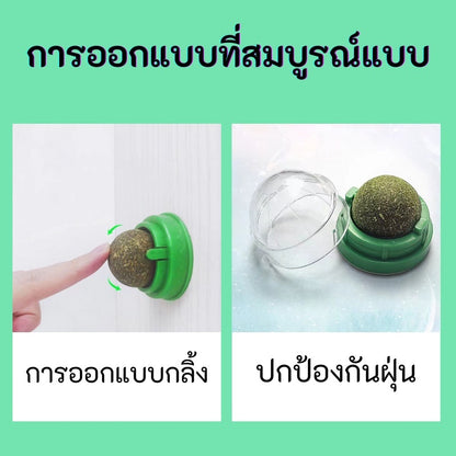 Mango กัญชาแมว😸หญ้าแมว กันชาแมว กัญชาเเมว แคทนิปแมว catnip ball กันชาแมวส่งฟรี กัชชาแมว กันชาแมวเลีย แคทนิปบอล ติดกำแพง