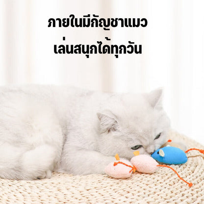 Mango หนูปลอม คลายเครียดแมว ขนไก่แมว ของเล่นแมว น้องแมวชอบ ตุ๊กตาหนู ให้วิ่งไล่จับ เหมือนเป็นการออกกำลังกายไปในตัว