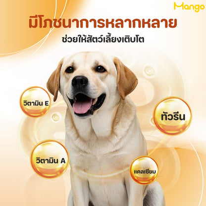 Mango อาหารสุนัขแบบเปียก สำหรับลูกสุนัขและสุนัขโตทุกสายพันธุ์ อาหารสุนัขกระป๋อง ช่วยส่งเสริมการย่อยของทางเดินอาหาร อาหารสุนัขออร์แกนิก อาหารกระป๋องแบบเปียกสำหรับสุนัข ขนาด 375 กรัม 🔥ขนมหมาเพื่อสุขภาพ🔥