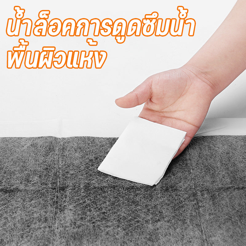 Pet Pad แผ่นรองฉี่สัตว์เลี้ยง แผ่นซับฉี่ แผ่นรองฉี่สุนัข แมว แผ่นรองฝึกขับถ่าย ซึมซับ ระงับกลิ่นได้ดี แผ่นปัสสาวะถ่านดูดซับกลิ่น 5 ชั้น