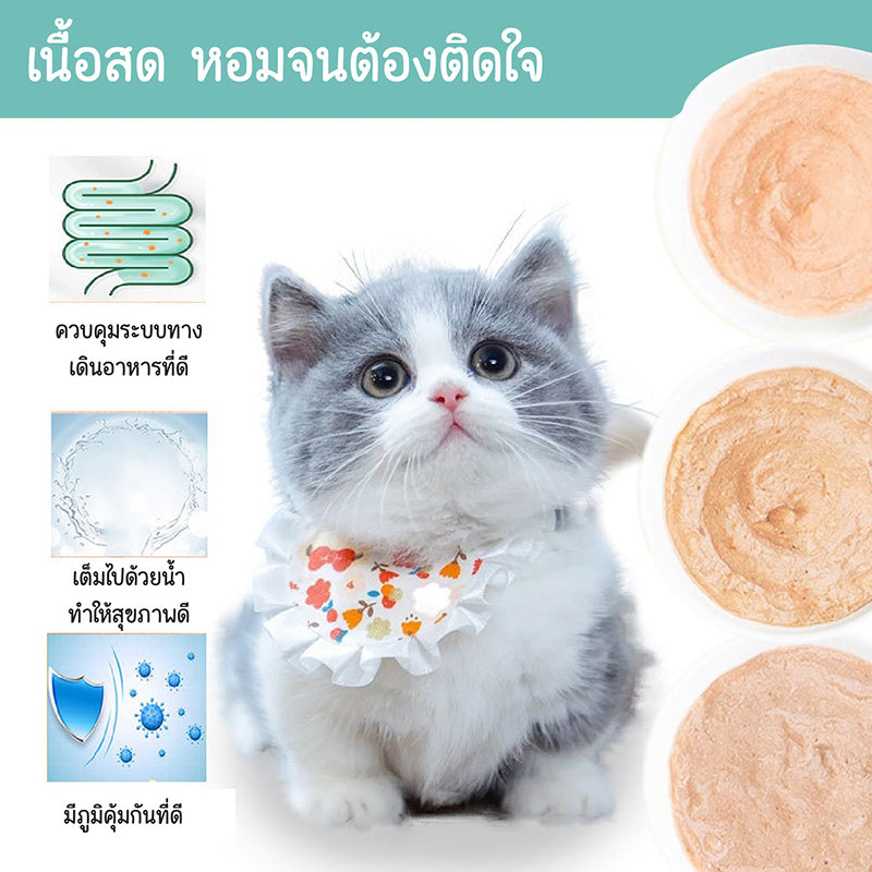 Mango ขนมเลียแมว 16g ขนมแมวเลีย cat snacks อาหารแมวเปียก อาหารเปียกแมว คละรสชาติ อร่อยมีคุณค่าทางโภชนาการ รสไก่และปลา บำรุงผม