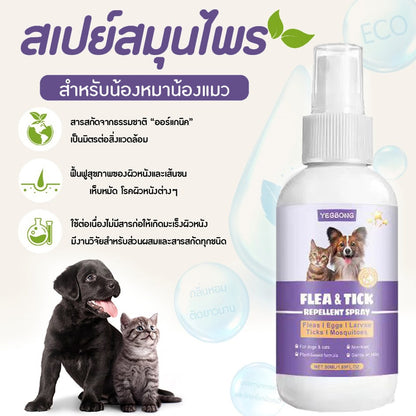 Mango สเปรย์กำจัดเห็บหมัด สเปรย์นาโน สเปรย์บรรเทาโรคผิวหนัง ไล่ ป้องกันเห็บหมัด ขี้เรื้อนสุนัข แมว เชื้อรา ยีสต์ คันเกา 50 ml.