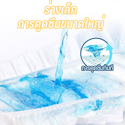Mango ผ้าอ้อมสัตว์เลี้ยง, ผ้าอ้อมสุนัขทิ้งเปลี่ยนแผ่น, ผลิตภัณฑ์สำหรับสัตว์เลี้ยงสำหรับผู้ชายและผู้หญิง, ผ้าอ้อมสุนัข, ผ้าอ้อมสัตว์เลี้ยง