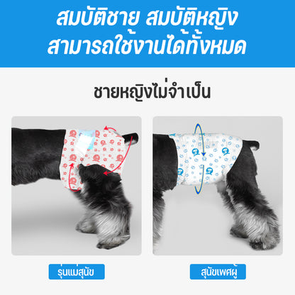 Mango ผ้าอ้อมสัตว์เลี้ยง, ผ้าอ้อมสุนัขทิ้งเปลี่ยนแผ่น, ผลิตภัณฑ์สำหรับสัตว์เลี้ยงสำหรับผู้ชายและผู้หญิง, ผ้าอ้อมสุนัข, ผ้าอ้อมสัตว์เลี้ยง
