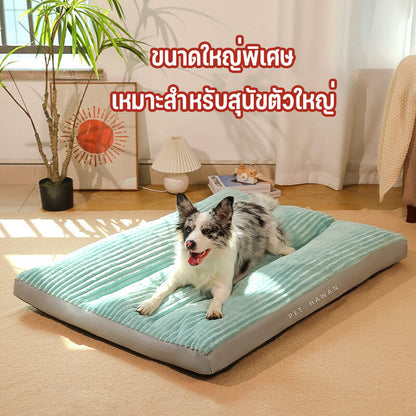 Mango ที่นอนสัตว์เลี้ยง เบาะนอนสัตว์เลี้ยง เตียง สุนัข แมว ขนาดเล็ก ขนาดกลาง ขนาดใหญ่ สื่อสุนัขนอนกับ แบบหนา ขนาดใหญ่พิเศษ