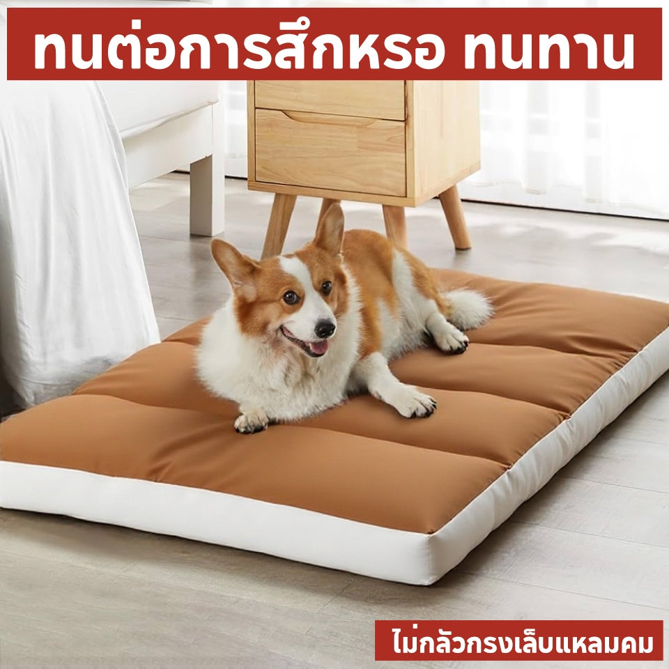 Mango พร้อมส่ง🔥เบาะสัตว์เลี้ยง กันน้ำกันรา100% Waterproof Pet Bed  ที่นอนหมา ที่นอนเเมว ที่นอนสุนัข เบาะหมาใหญ่