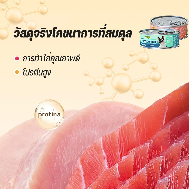 (10 กระป๋อง) Mango อาหารแมวกระป๋อง อาหารแมวเกรดพรีเมี่ยม อาหารแมวเปียกออร์แกนิกธรรมชาติบริสุทธิ์ อาหารสุนัข 90g วันที่ผลิตสด พร้อมส่ง