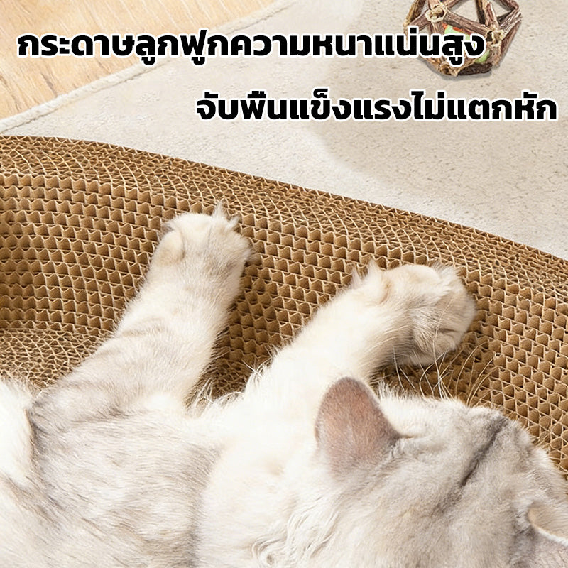 Mango ที่ลับเล็บแมว แคทนิป อ่างลับเล็บ ของเล่นแมว ที่นอนแมว แผ่นลับเล็บ ที่ฝนเล็บสัตว์เลี้ยง ที่นอนแมว 2in1 กระดาษลูกฟูก ﻿