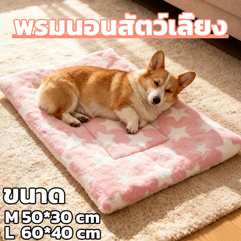 Mango ที่นอนสุนัข ที่นอนแมว พรมนอนสัตว์เลี้ยง เบาะสัตว์เลี้ยง ที่นอนสุนัข ที่นอนแมว ที่นอนน้องหมา เบาะแมว