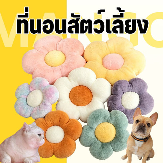 Mango เบาะรองนอนสัตว์เลี้ยงดอกเดซี่ ที่นอนแมว ที่นอนสัตว์เลี้ยง เตียงแมว เบาะสัตว์เลี้ยง นุ่มสบาย ด้านล่างมีกันลื่น