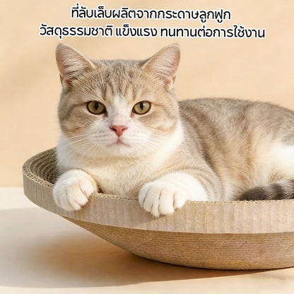Mango กระดาษลับเล็บวงรี ที่ลับเล็บแมว อ่างลับเล็บแมว ของเล่นแมว รูปอ่าง เป็นที่นอนแมวไปในตัว กระดาษลูกฟูก DIY Cat Scratcher