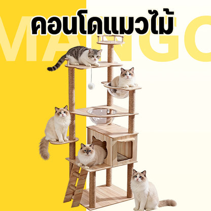 Mango คอนโดแมว ไม้แมวคอนโดแมว บ้านแมว รวมถึงแคปซูลอวกาศโปร่งใสเหมาะสำหรับเลี้ยงน้องแมว 3-5ตัว เสาลับเล็บ ขนาดใหญ่ สูง170CM