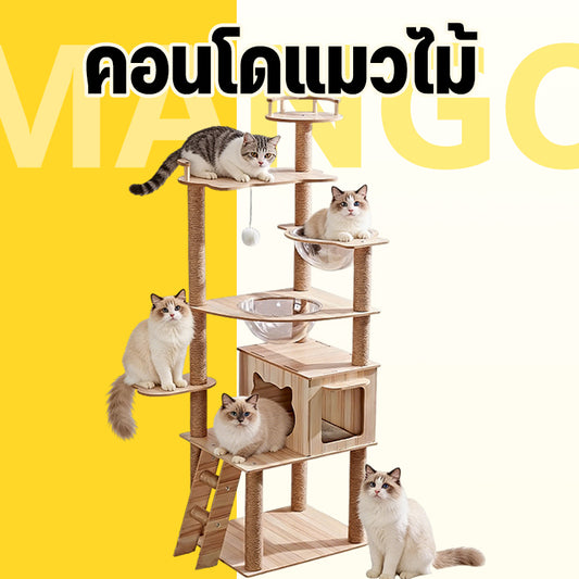 Mango คอนโดแมว ไม้แมวคอนโดแมว บ้านแมว รวมถึงแคปซูลอวกาศโปร่งใสเหมาะสำหรับเลี้ยงน้องแมว 3-5ตัว เสาลับเล็บ ขนาดใหญ่ สูง170CM