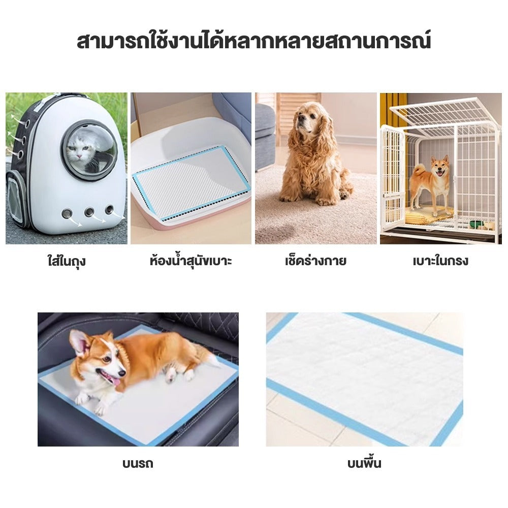 【พร้อมส่ง】 แผ่นรองฉี่สุนัข ซึมซับไดีดี ต่อต้านแบคทีเรีย แผ่นรองฉี่ ผ้ารองฉี่สุนัข แผ่นรองฉี่แมว แผ่นรองซับ ทรายแมวCOD