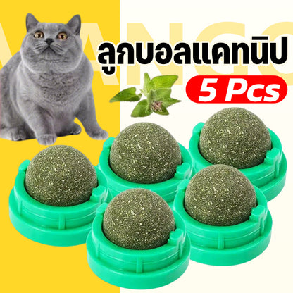Mango กัญชาแมวหญ้าแมว 5ชิ้น ลูกบอลแคทนิป กันชาแมว กัญชาเเมว catnip ball แคทนิปบอล ของเล่นแมวเลีย ขนมแมวเลีย ของเล่นแมว