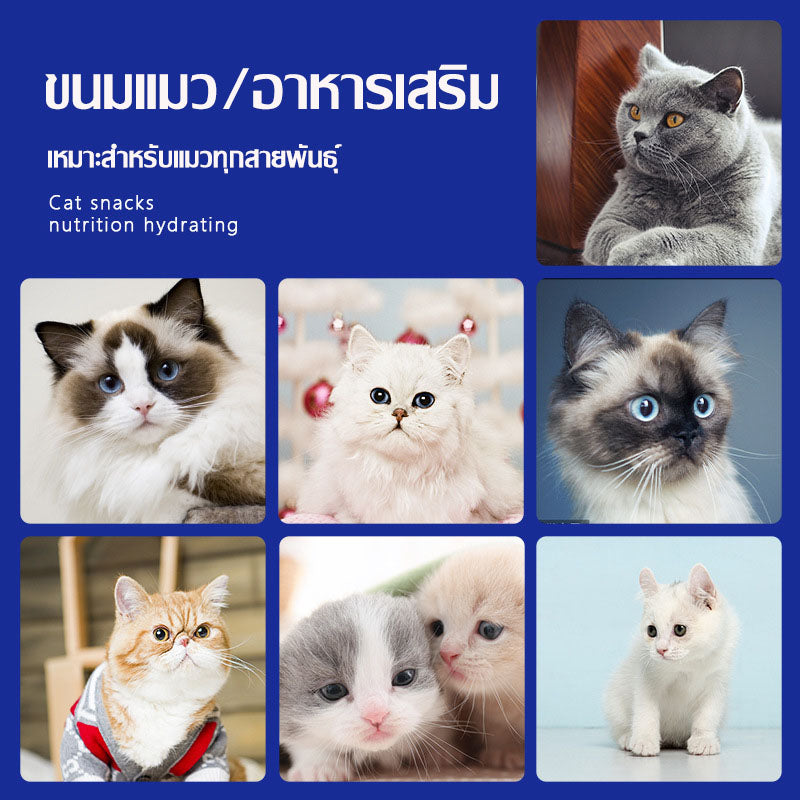 Mango ขนมแมว 10pcs ขนมแมวเลีย อาหารเปียก กินได้ทั้งแมวโตและลูกแมว ไม่แต่งกลิ่น อุดมไปด้วยสารอาหาร มี 3 รสชาติ ขนมแมวนำเข้า รสชาติอร่อยถูก Cat Snacks