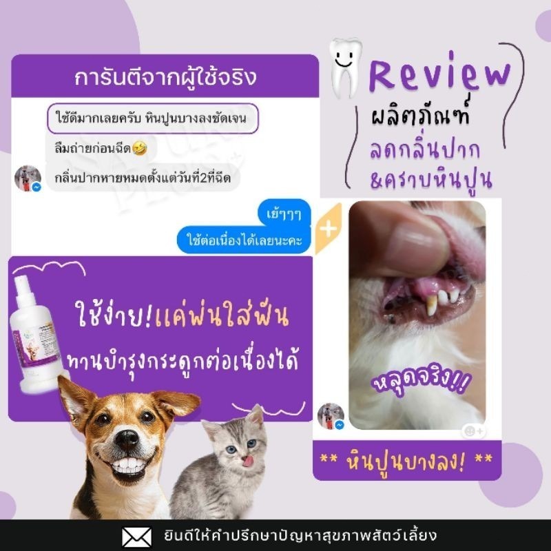 Mango สเปรย์ลดกลิ่นปาก คราบหินปูน ฟันขาว บำรุงกระดูก สุนัขและแมว สะอาด กลิ่นปากเหม็นหายทันที ช่วยบำรุงกระดูกและฟัน