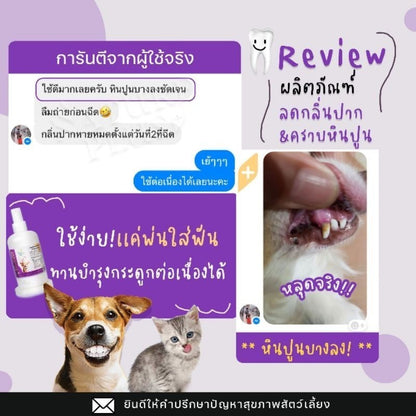 Mango สเปรย์ลดกลิ่นปาก คราบหินปูน ฟันขาว บำรุงกระดูก สุนัขและแมว สะอาด กลิ่นปากเหม็นหายทันที ช่วยบำรุงกระดูกและฟัน