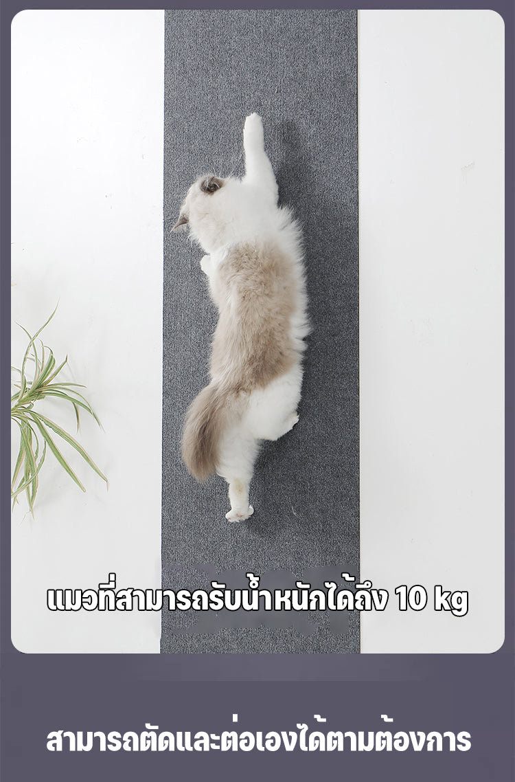 Mango พรมลับเล็บแมว สื่อกันรอยขีดข่วน ป้องกันรอยขีดข่วน มีกาวในตัว สําหรับโซฟา สัตว์เลี้ยง แมว สำหรับรองเฟอร์นิเจอร์ แผ่นลับเล็บ