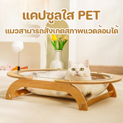 Mango ที่นอนแมว หลุมอวกาศแมว หลุมอวกาศ โปร่งใส อะคริลิก 61x41ซม นุ่มสบาย เฟอร์นิเจอร์แมว บ้านแมว