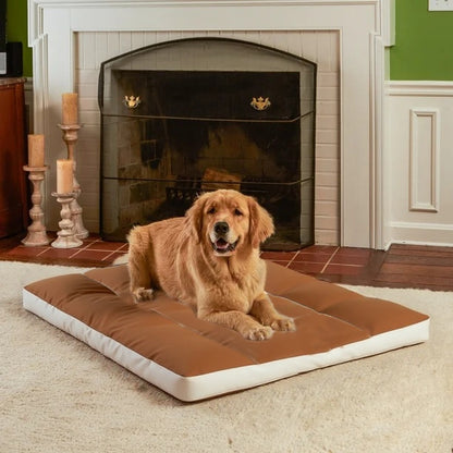 Mango พร้อมส่ง🔥เบาะสัตว์เลี้ยง กันน้ำกันรา100% Waterproof Pet Bed  ที่นอนหมา ที่นอนเเมว ที่นอนสุนัข เบาะหมาใหญ่