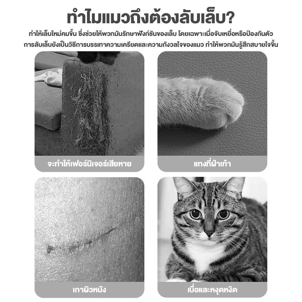 Mango ที่ลับเล็บแมว 2 in 1 ที่ฝนเล็บแมว ที่ฝนเล็บแมวลูกบอล กระดานลับเล็บแมว แผ่นข่วน ของเล่นแมว ป่านศรนารายณ์ธรรมชาติ