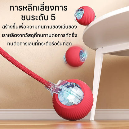 Mango พร้อมส่ง🔥ลูกบอลแมว บอลแมวอัตโนมัติ ชาร์ตแบตได้ ของเล่นแมว สมาร์ทไฟฟ้า หมุนได้ ของเล่นแมวโต้ตอบ ของใช้แมว