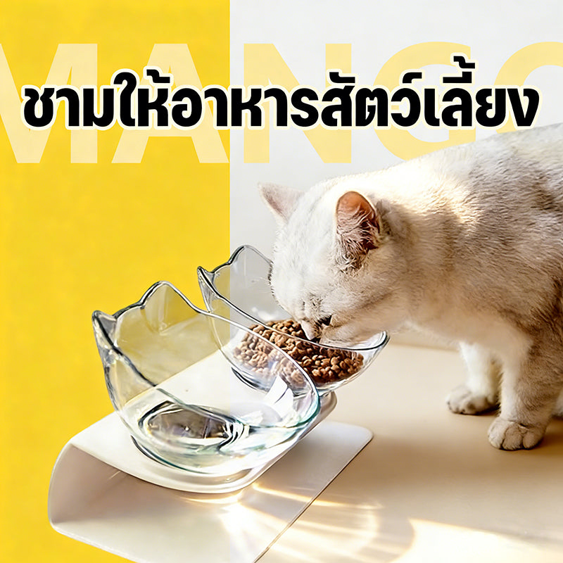 Mango ชามคู่ ชามให้อาหารสัตว์เลี้ยง ชามใส่อาหารน้องหมา+น้องแมว เอียง 15 องศา