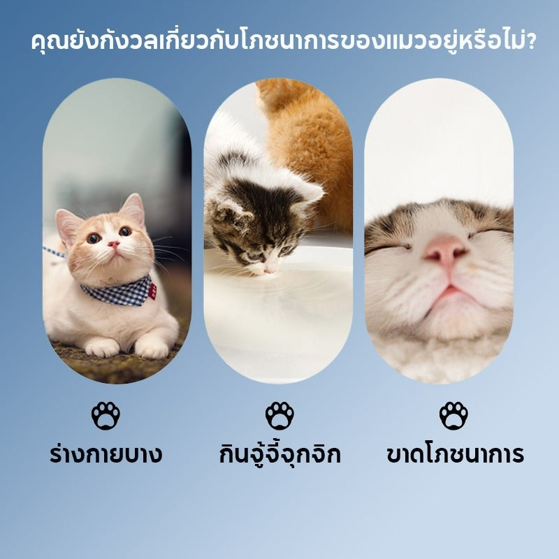 Mango 10 แถม 10🔥ขนมเเมวเลีย 16g ขนมแมว ขนมแมวเลีย แถบแมว 20ชิ้น*16g อาหารแมว cat snack stick อาหารเปียกแมว มี 5 รสชาติ