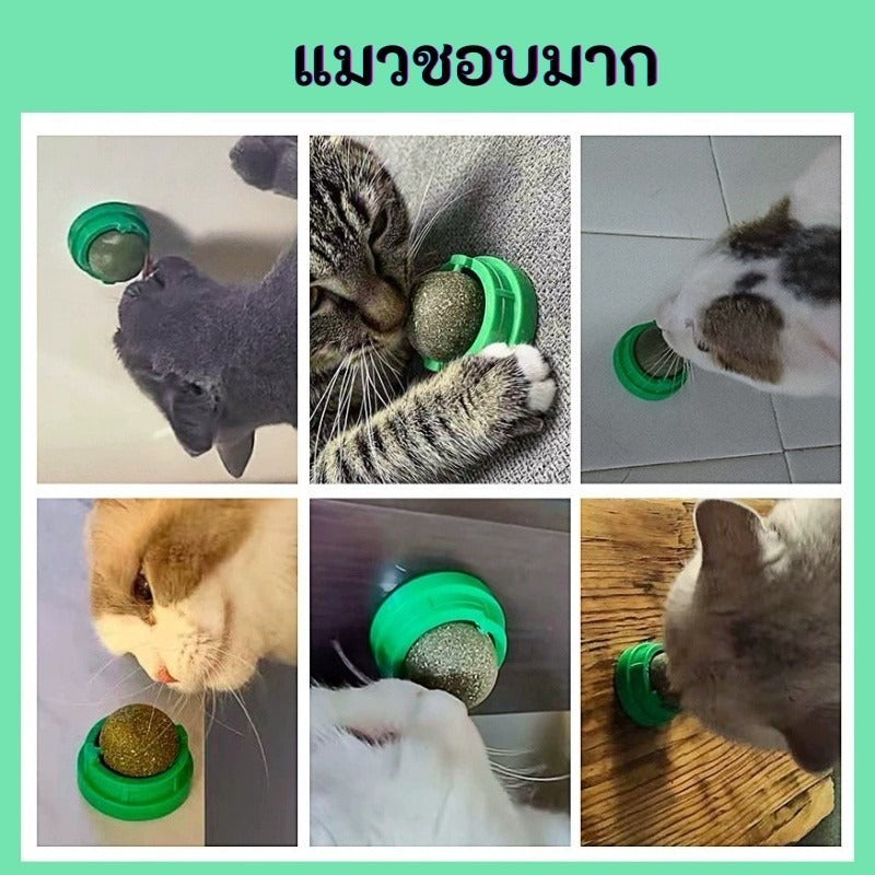 Mango ลูกบอลกัญชาแมว ติดกำแพงได้ ไม่กลิ้งหาย catnip ball แคทนิปแมว หญ้าแมว ของเล่นแมว ลดคราบหินปูน สําหรับสัตว์เลี้ยง