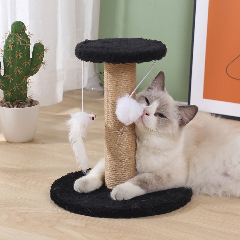 Mango ฝนเล็บแมว คอนโดแมวราคาถูก เสาฝนเล็บแมว คอนโดแมว ที่ลับเล็บแมว ที่ฝนเล็บแมว ลับเล็บแมว คอนโดแมวเล็ก ของเล่นแมว