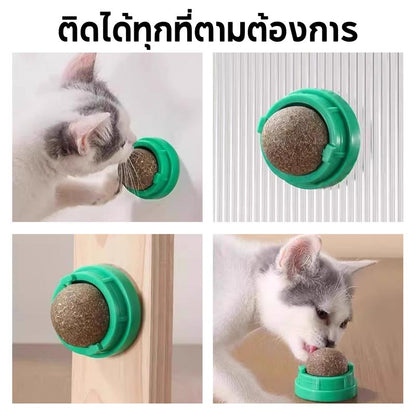Mango กัญชาแมวหญ้าแมว 5ชิ้น ลูกบอลแคทนิป กันชาแมว กัญชาเเมว catnip ball แคทนิปบอล ของเล่นแมวเลีย ขนมแมวเลีย ของเล่นแมว