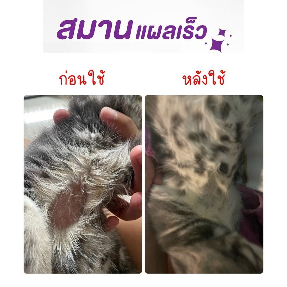 Mango สเปรย์กำจัดเห็บหมัด สเปรย์นาโน สเปรย์บรรเทาโรคผิวหนัง ไล่ ป้องกันเห็บหมัด ขี้เรื้อนสุนัข แมว เชื้อรา ยีสต์ คันเกา 50 ml.