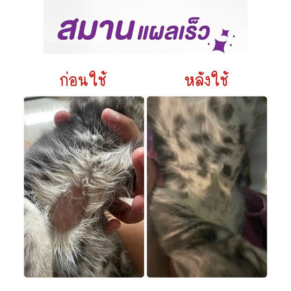 Mango สเปรย์กำจัดเห็บหมัด สเปรย์นาโน สเปรย์บรรเทาโรคผิวหนัง ไล่ ป้องกันเห็บหมัด ขี้เรื้อนสุนัข แมว เชื้อรา ยีสต์ คันเกา 50 ml.