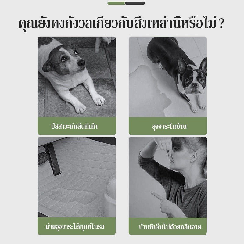 Mango แผ่นรองฉี่สุนัข🐶ชาร์โคล(หนาขึ้น) รุ่นชาโคล แผ่นรองฉี่แมว ช่วยฝึกขับถ่าย การดูดซับน้ำ6ชั้น ระงับกลิ่นได้ดี