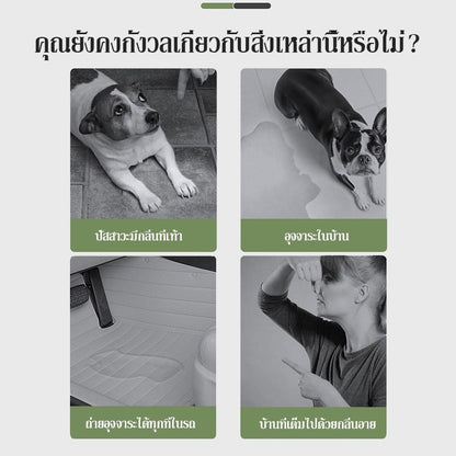 Mango แผ่นรองฉี่สุนัข🐶ชาร์โคล(หนาขึ้น) รุ่นชาโคล แผ่นรองฉี่แมว ช่วยฝึกขับถ่าย การดูดซับน้ำ6ชั้น ระงับกลิ่นได้ดี