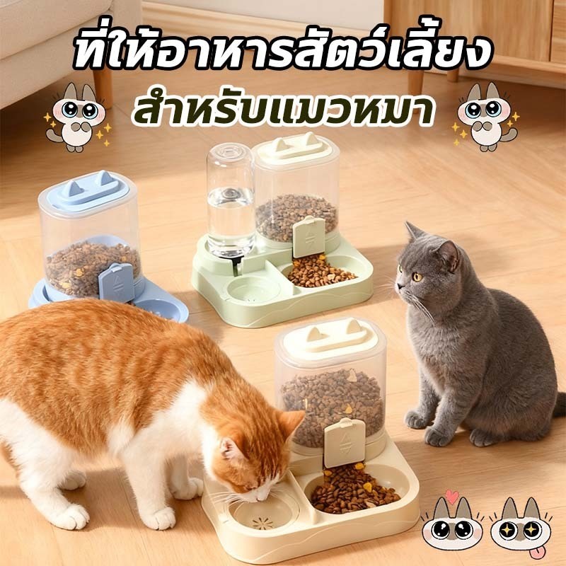 Mango ที่ให้อาหารแมวอัตโนมัติ ที่ให้อาหารสัตว์เลี้ยง ที่ให้น้ำสัตว์เลี้ยง ที่ให้อาหาร-น้ำอัตโนมัติ เกรดพรีเมี่ยม ถ้วยอาหารแมว