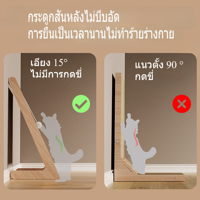 Mango ที่ลับเล็บแมว ของเล่นแมว ฝนเล็บแมว ที่ฝนเล็บแมวลูกบอล ที่ฝนเล็บแมวใหญ่ ที่ฝนเล็บแมวขนาดใหญ่ บ้านแมว ที่ฝนเล็บแมว