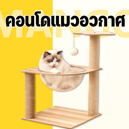 Mango คอนโดแมวอวกาศ✨พร้อมหลุมใสอะคริลิคและเสาฝนเล็บ ของเล่นแมว ที่ลับเล็บแมว เฟอร์นิเจอร์แมว ที่ขูดกรงเล็บแมว ที่นอนแมว
